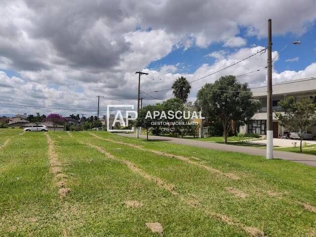 #2129 - Área para Venda em Jacareí - SP - 3